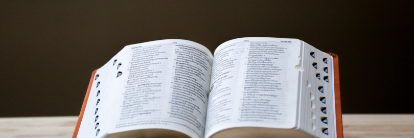 外語詞典軟件-免費外語詞典app推薦排行榜