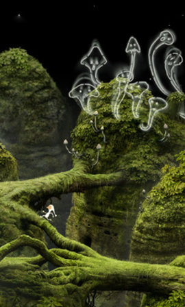 163730_41672436.jpg 163730_41672436.jpg