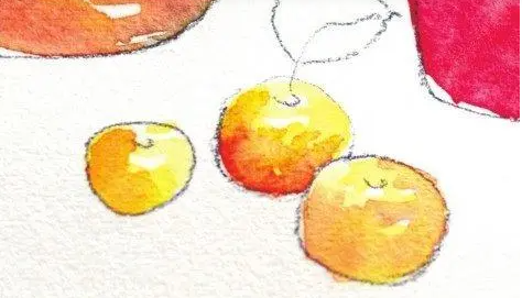 教程視頻-水彩畫(huà)的基本步驟 教程視頻-水彩畫(huà)的基本步驟