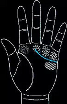 手相怎么看男士-男人手相圖解大全 手相怎么看男士-男人手相圖解大全