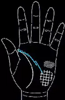 手相怎么看男士-男人手相圖解大全 手相怎么看男士-男人手相圖解大全