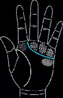 手相怎么看男士-男人手相圖解大全 手相怎么看男士-男人手相圖解大全