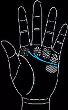 手相怎么看男士-男人手相圖解大全 手相怎么看男士-男人手相圖解大全