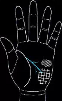 手相怎么看男士-男人手相圖解大全 手相怎么看男士-男人手相圖解大全