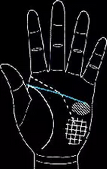 手相怎么看男士-男人手相圖解大全 手相怎么看男士-男人手相圖解大全