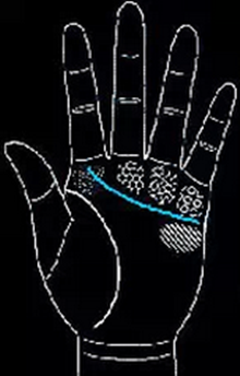 手相怎么看男士-男人手相圖解大全 手相怎么看男士-男人手相圖解大全