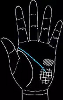 手相怎么看男士-男人手相圖解大全 手相怎么看男士-男人手相圖解大全