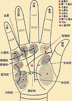 手相怎么看男士-男人手相圖解大全 手相怎么看男士-男人手相圖解大全