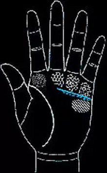 手相怎么看男士-男人手相圖解大全 手相怎么看男士-男人手相圖解大全