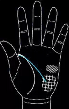 手相怎么看男士-男人手相圖解大全 手相怎么看男士-男人手相圖解大全