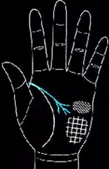 手相怎么看男士-男人手相圖解大全 手相怎么看男士-男人手相圖解大全