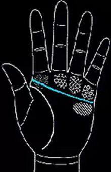 手相怎么看男士-男人手相圖解大全 手相怎么看男士-男人手相圖解大全