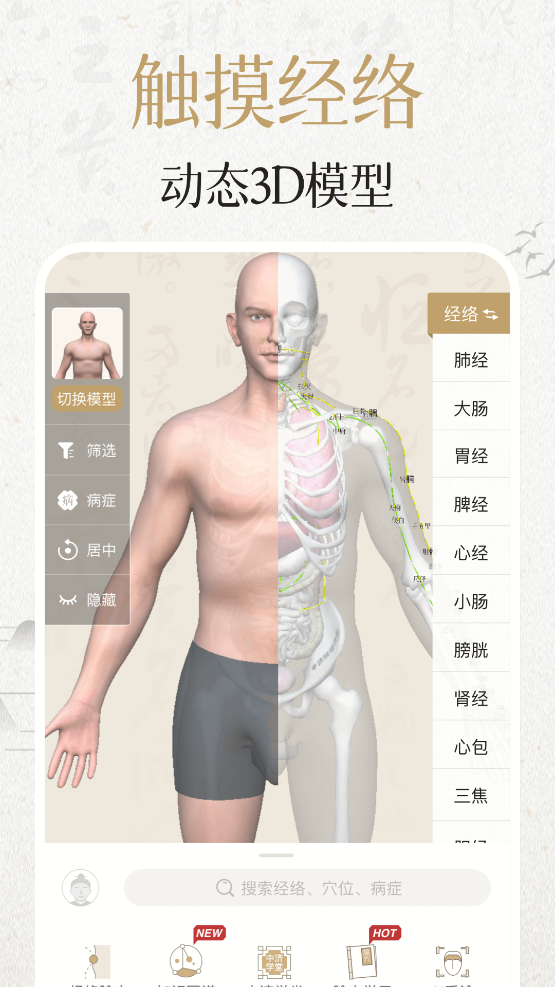 中濟(jì)經(jīng)絡(luò)穴位APP下載-中濟(jì)經(jīng)絡(luò)穴位APP最新版下載2.9.1 中濟(jì)經(jīng)絡(luò)穴位APP下載-中濟(jì)經(jīng)絡(luò)穴位APP最新版下載2.9.1