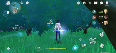 原神新增楓丹樹木具體位置在哪-原神新增楓丹樹木具體位置介紹一覽