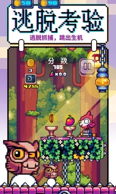 咕咕雞向上沖游戲下載-咕咕雞向上沖安卓版下載v1.0.0 咕咕雞向上沖游戲下載-咕咕雞向上沖安卓版下載v1.0.0