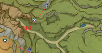 原神樹王圣體菇在哪里采摘-原神樹王圣體菇采摘位置介紹