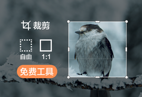 免費裁剪圖片尺寸大小