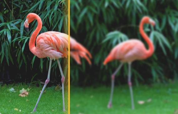 圖片一鍵變高清-一鍵圖片變清晰在線制作