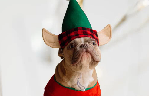 先進技術實現摳圖效果-智能摳圖在線工具