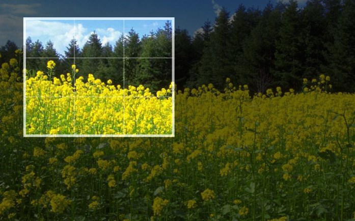 圖片裁剪處理工具-在線編輯圖片工具