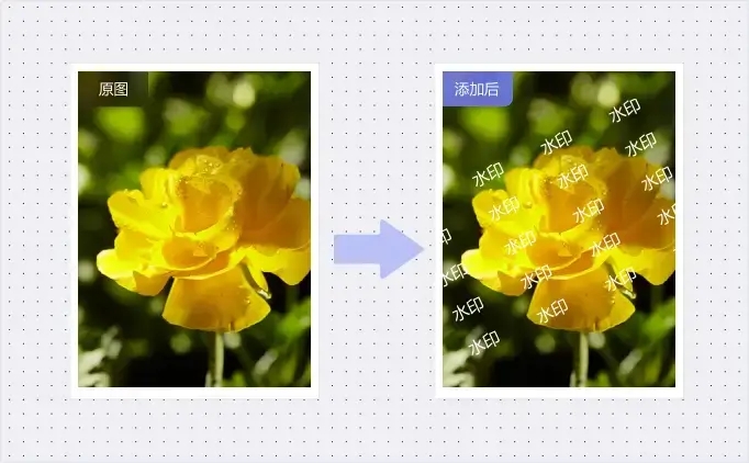 在線圖片圖文水印制作-圖片加水印在線制作