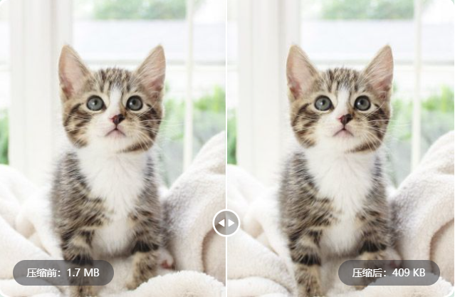 在線無損壓縮圖片-快速操作高質量壓縮圖片