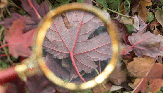 圖片高清智能放大-圖片智能無損放大