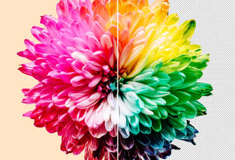 在線圖片去底色工具