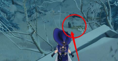 原神雪山三個匣子密室位置在哪-原神雪山三個匣子密室位置介紹