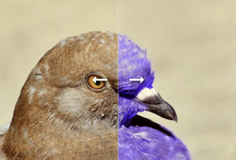 在線改變圖像的顏色編輯器