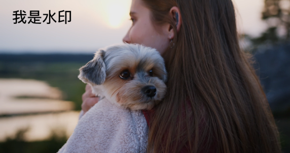 在線快速去除視頻中的水印-一鍵去除水印工具