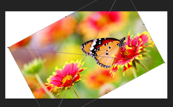 一鍵編輯圖片全方位旋轉-圖片批量旋轉方向