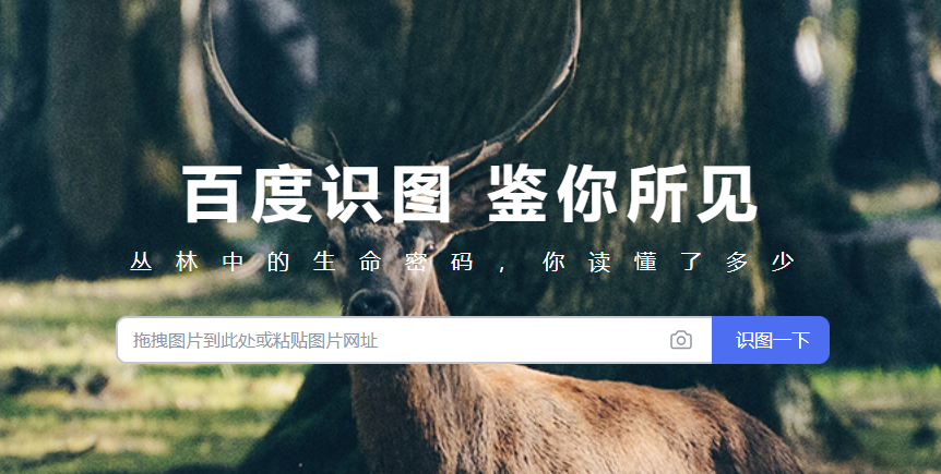 免費(fèi)通過(guò)AI技術(shù)精準(zhǔn)識(shí)別圖片來(lái)源-在線ai識(shí)別圖片工具 免費(fèi)通過(guò)AI技術(shù)精準(zhǔn)識(shí)別圖片來(lái)源-在線ai識(shí)別圖片工具