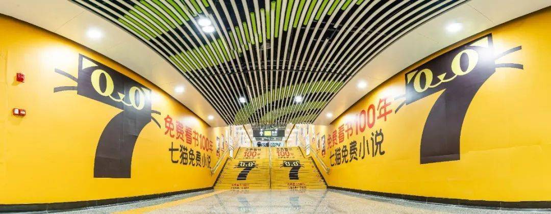 七貓小說(shuō)怎么提高語(yǔ)速