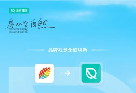 薄荷健康怎么看基礎代謝