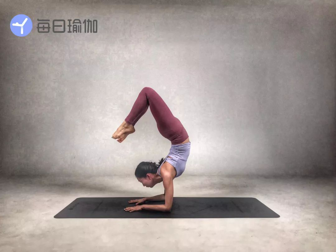 每日瑜伽有哪些課程