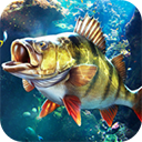 歡樂釣魚大師國際版