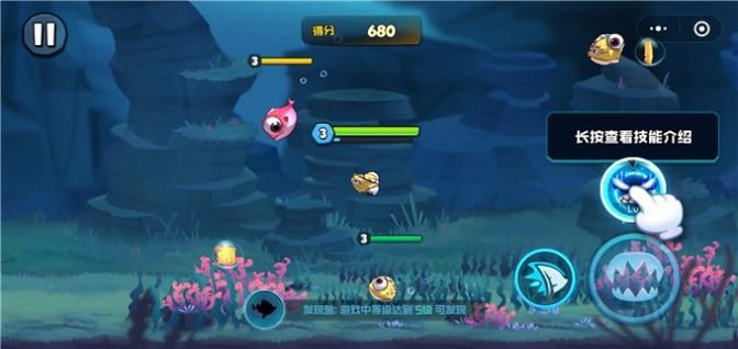 大魚總動(dòng)員