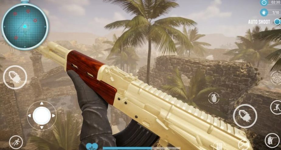 戰斗打擊完美軍事行動