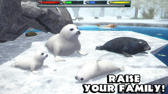 終極北極熊模擬器(ArcticSim)