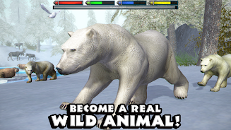 終極北極熊模擬器(ArcticSim)