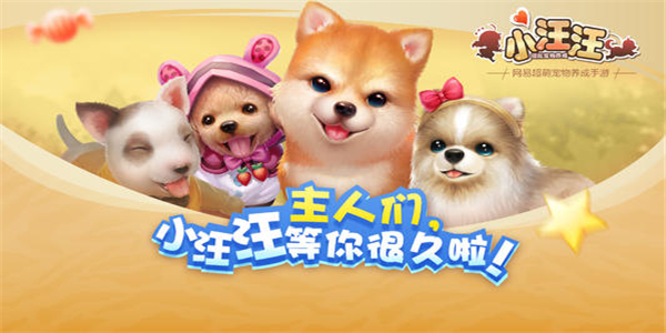 最火的養寵物游戲大全