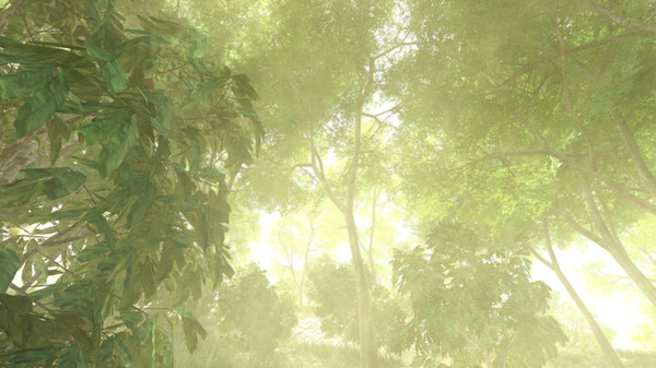 叢林之狐修改器