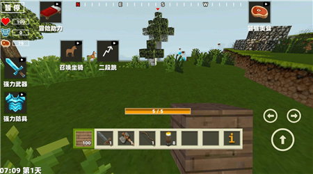 像素開放大世界