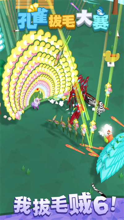 孔雀拔毛大賽免廣告