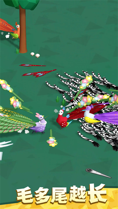 孔雀拔毛大賽免廣告