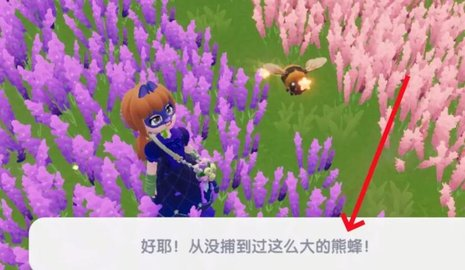 心動小鎮(zhèn)幽光章魚在哪里釣-心動小鎮(zhèn)幽光章魚捕獲方法一覽