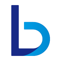 藍道出行司機端