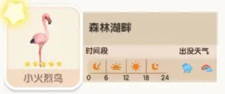 心動小鎮小火烈鳥在哪-心動小鎮小火烈鳥位置及時間攻略