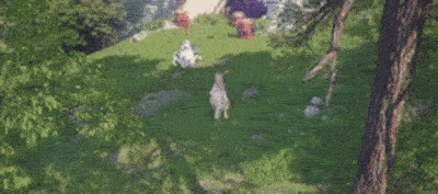 無限暖暖 無限暖暖